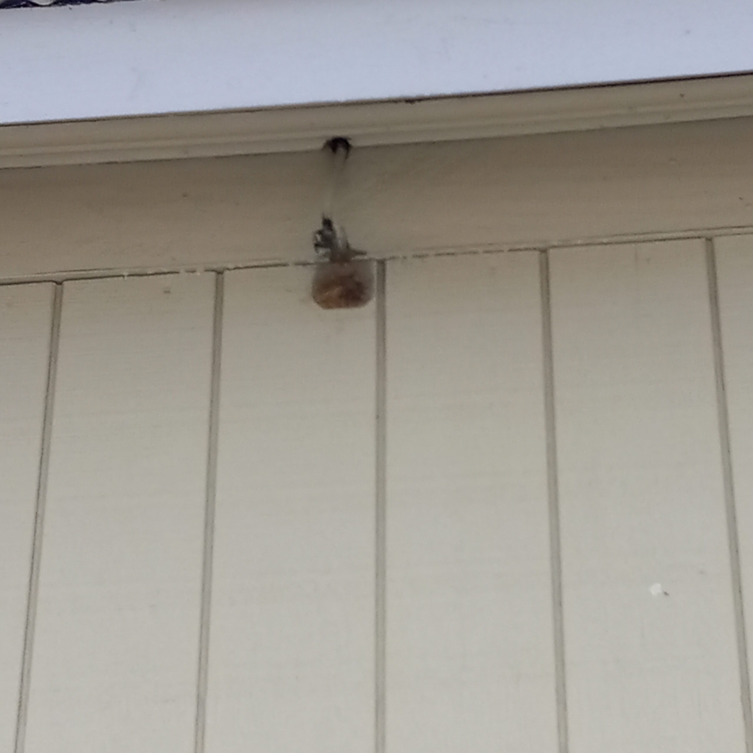 Wall with the existing light fixture and box removed, leaving only the exposed wire hanging out.